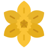 Flower Flat_20-daffodil