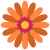 Flower Flat_4-gerbera